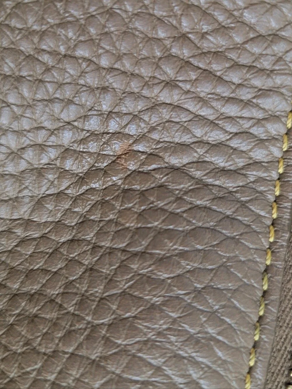 Dooney & Bourke beautiful dooney